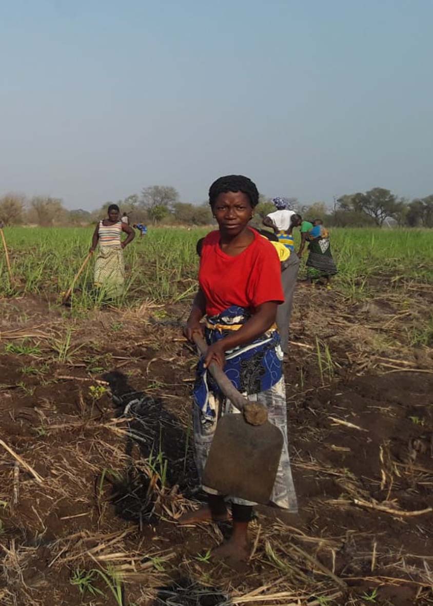 smallholder mozambique